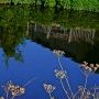 Irène Ramaroson Reflets